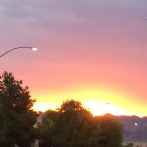 Meet your Posher, Cynthia